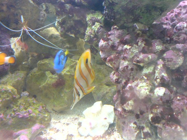 DSC00245.JPG