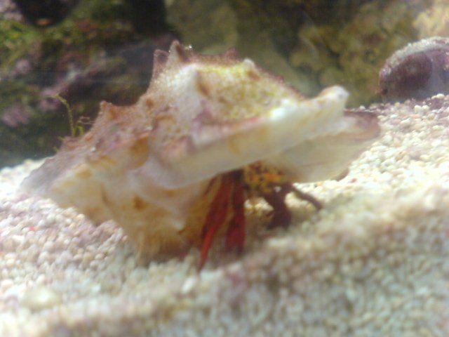 DSC00176.JPG