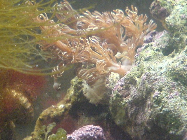 DSC00209.JPG
