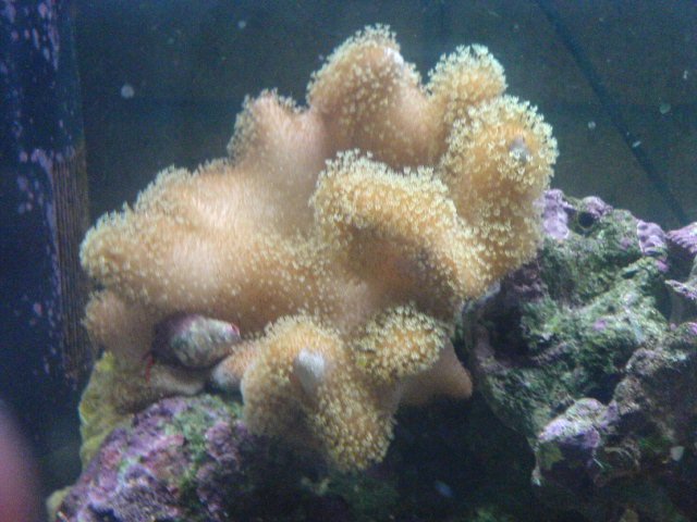 DSC00229.JPG