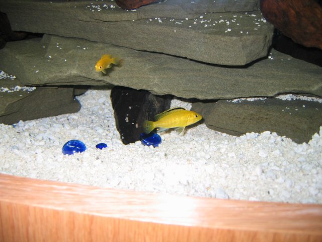 IMG_0876.jpg
