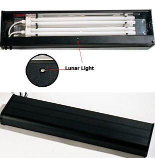 Lighting.jpg Lighting.jpg