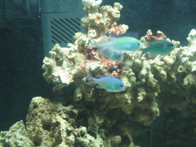IMG_0960.JPG