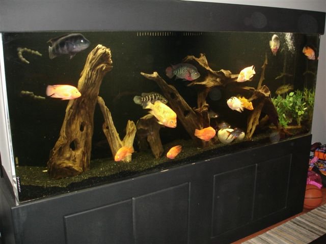 fulltankfromabove.jpg