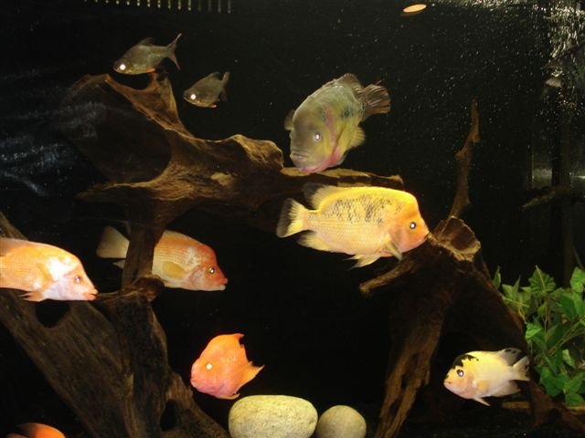 center6.jpg