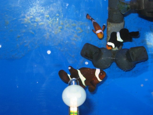 Picture or Video 030.jpg