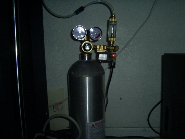 SUC50071.JPG