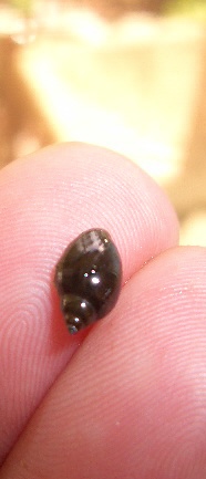 CIMG0688.JPG