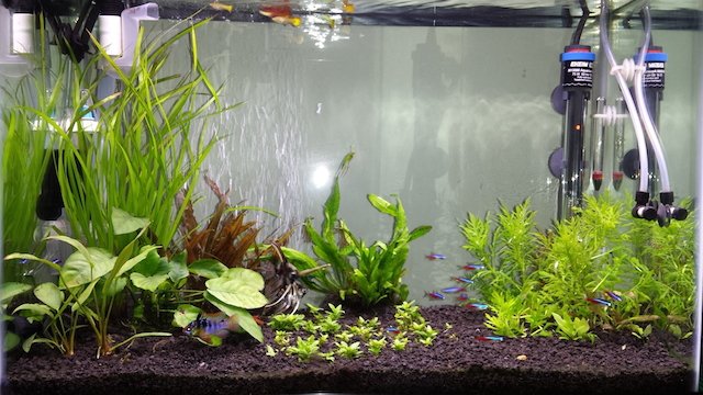 20140802_092950.jpg