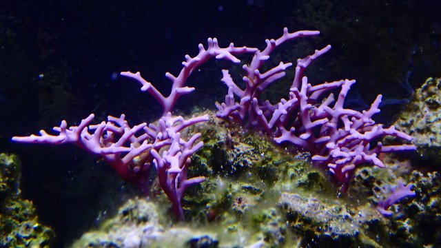 P8100120.JPG
