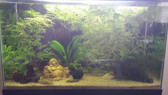 uploadfromtaptalk1408153120278.jpg uploadfromtaptalk1408153120278.jpg