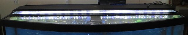 lightbar2.jpg