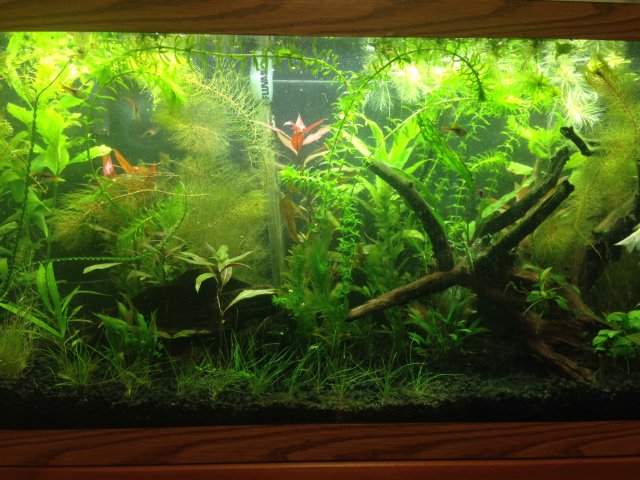photo 2.JPG