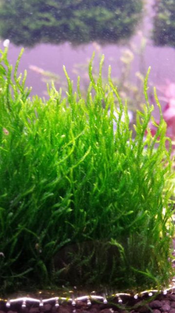 20140704_164358.jpg 20140704_164358.jpg