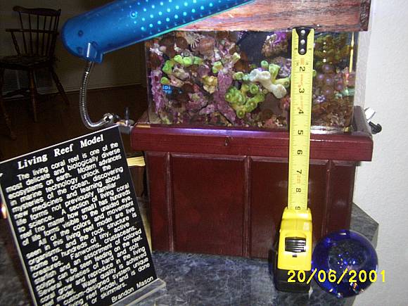 tapeMeasure_5.jpg tapeMeasure_5.jpg