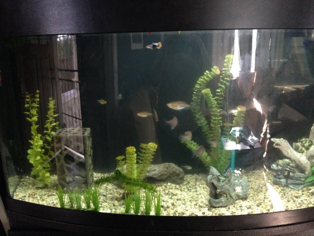 photo 2.JPG