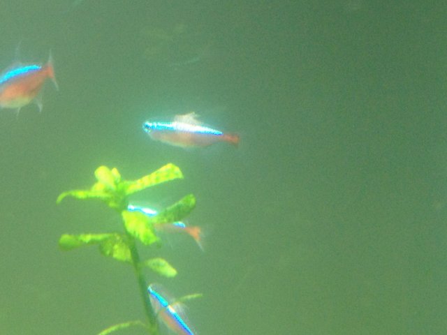 IMG_0617.JPG