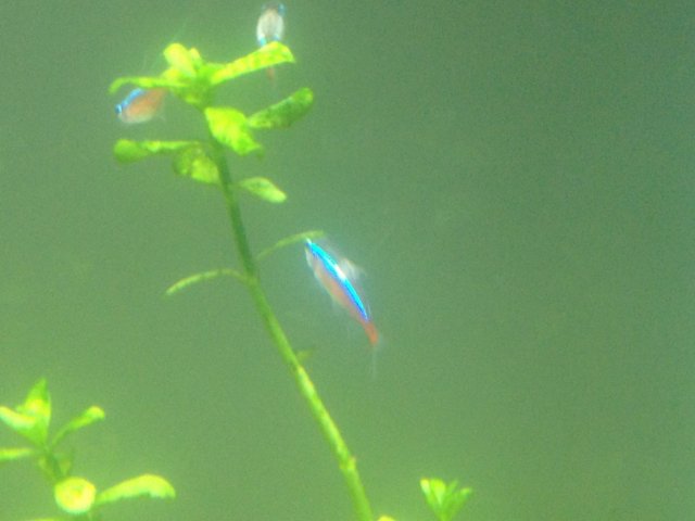 IMG_0619.JPG