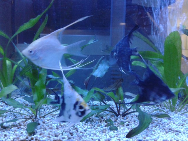 20140929_012343.jpg
