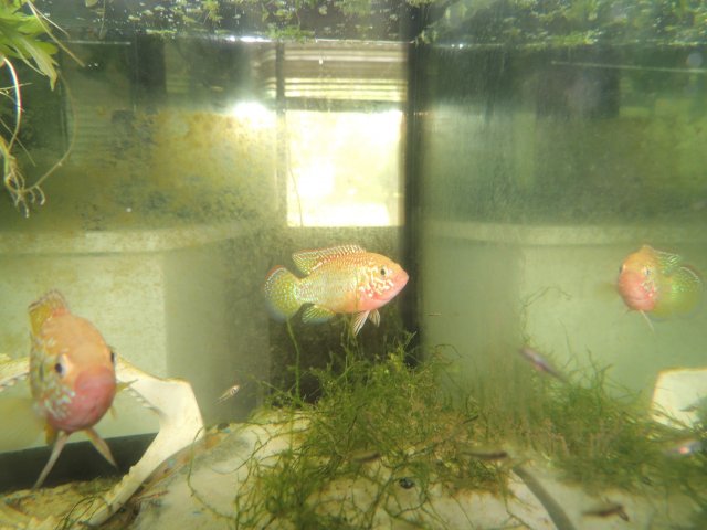 DSCN0302.JPG
