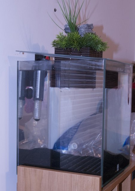 Fluval Chi 1.jpg