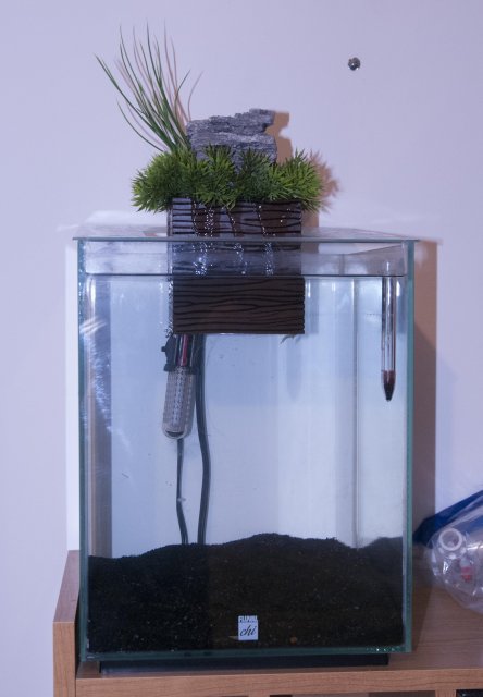 Fluval Chi 2.jpg