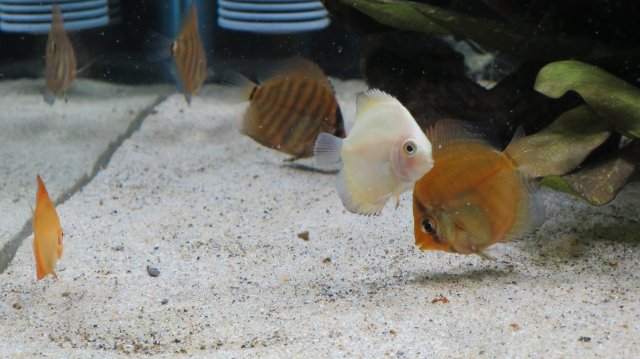 IMG_1580.JPG