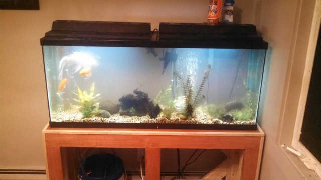 fish-tank-stand-finished.jpg