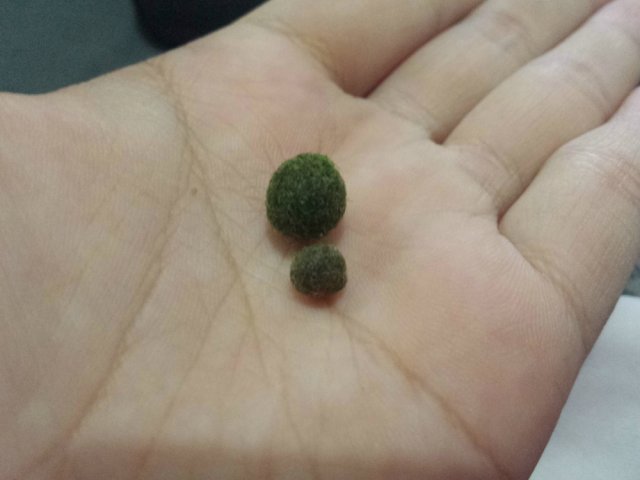 20141028_180550.jpg