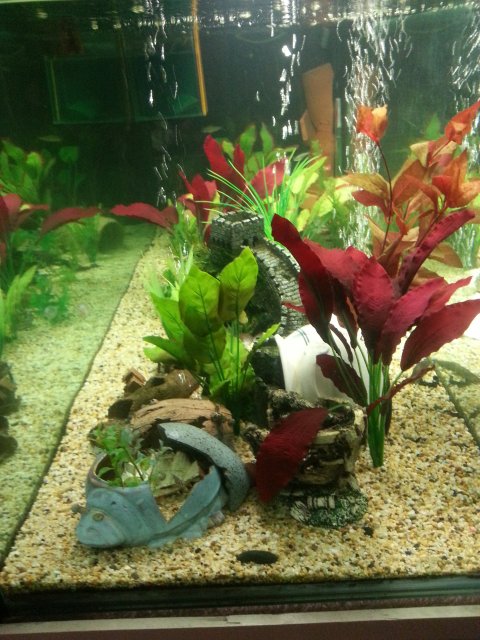 20141212_212357.jpg