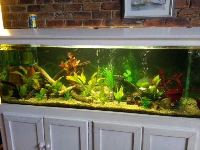 20141214_142109.jpg 20141214_142109.jpg