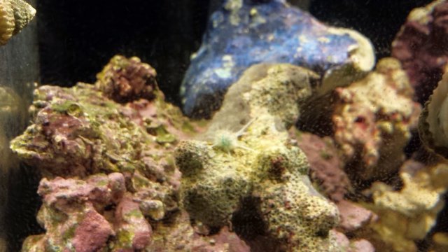 20141215_170643.jpg