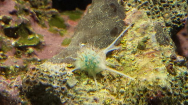20141215_170632.jpg