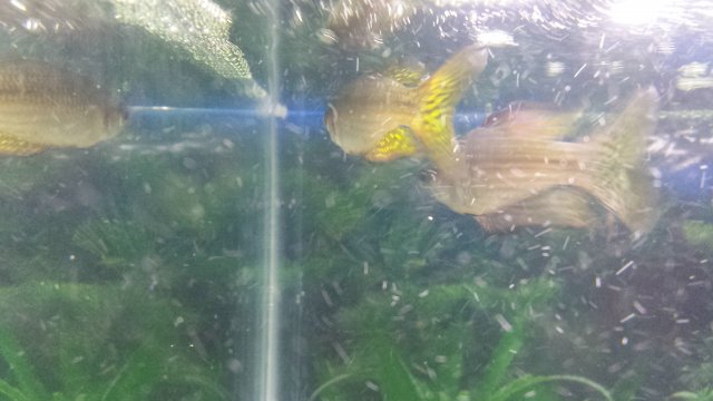 20141229_014828.jpg