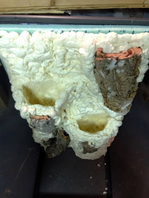 photo 2.JPG photo 2.JPG
