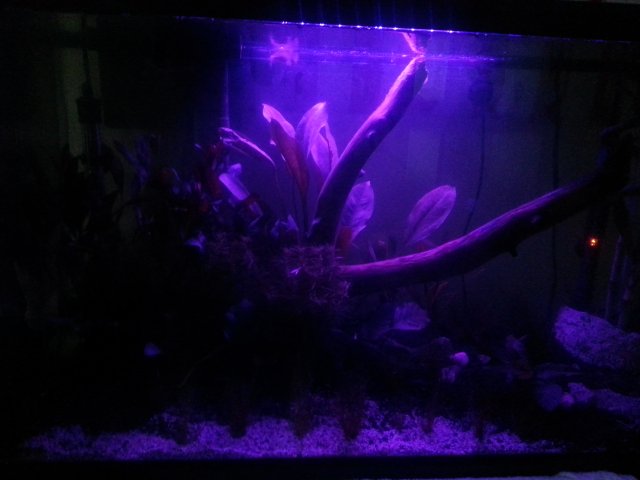 20150424_193225.jpg