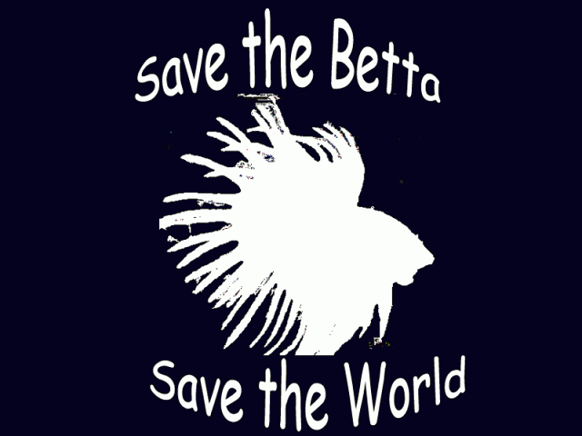 betta2.gif