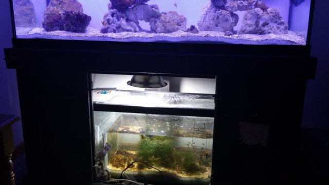 20150523_100842.jpg