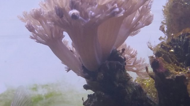 2015-06-29 06.17.26.jpg