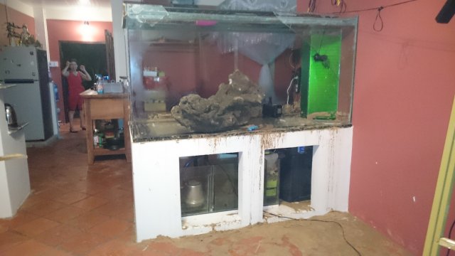 Is 12mm Tempered Glass Thick Enough Aquariacentral Com - Diy Glass Aquarium Calculator Is 12mm Tempered Glass Thick Enough Aquariacentral Com - Diy Glass Aquarium Calculator