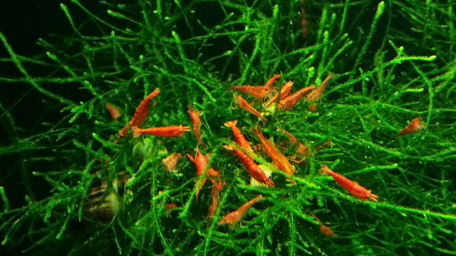 20150509_155248.jpg