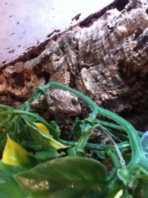 IMG_1563.JPG IMG_1563.JPG