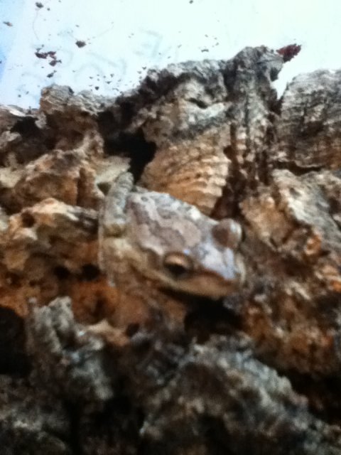 IMG_1566.JPG IMG_1566.JPG