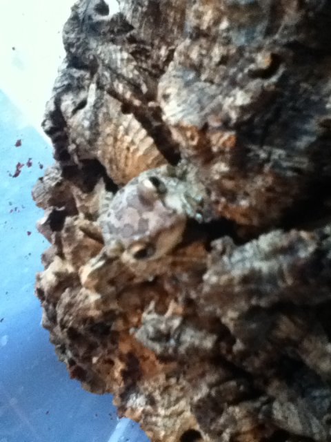 IMG_1567.JPG IMG_1567.JPG