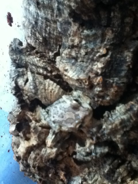 IMG_1568.JPG IMG_1568.JPG