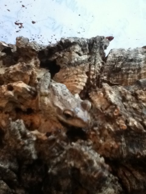 IMG_1569.JPG IMG_1569.JPG