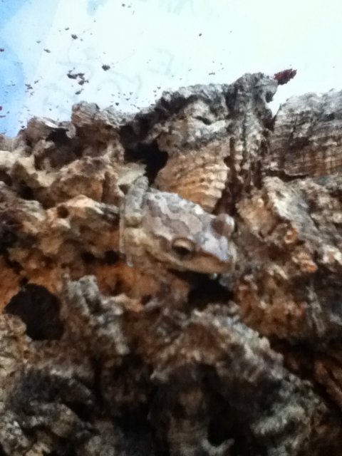 tumblr_npyjcimNuk1shq60zo2_1280.jpg tumblr_npyjcimNuk1shq60zo2_1280.jpg