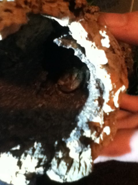 tumblr_nqbdantfMF1shq60zo1_500.jpg tumblr_nqbdantfMF1shq60zo1_500.jpg