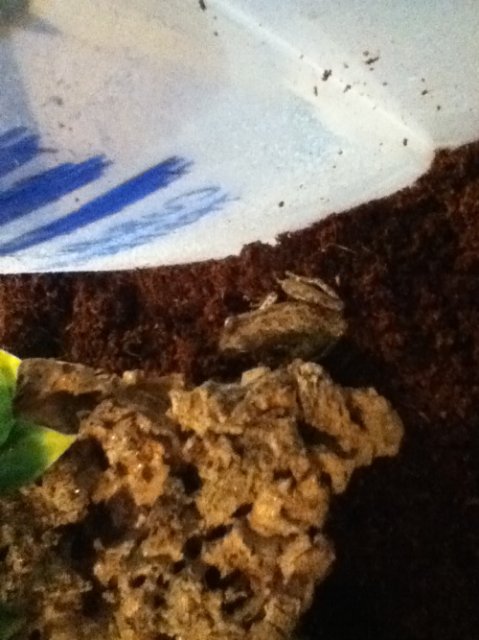 tumblr_nqdr3j84KX1shq60zo1_500.jpg tumblr_nqdr3j84KX1shq60zo1_500.jpg