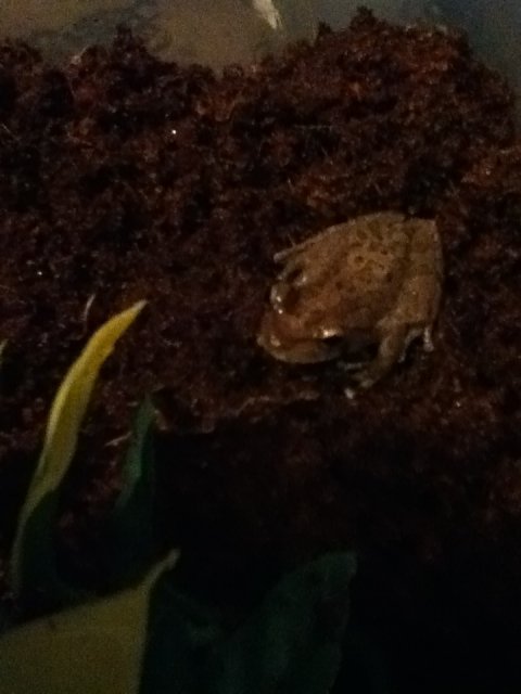 tumblr_nqoxkg86m01shq60zo3_1280.jpg tumblr_nqoxkg86m01shq60zo3_1280.jpg